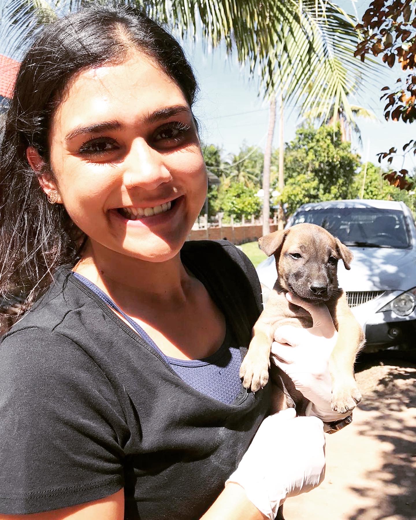 AC7D9A80-9928-4D10-A804-007D6AF947D8