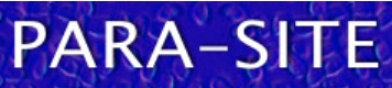 PARA-SITE 2010