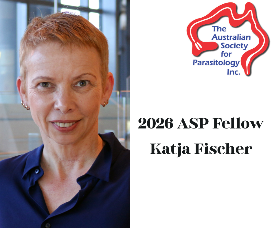 Katja Fischer (screen)