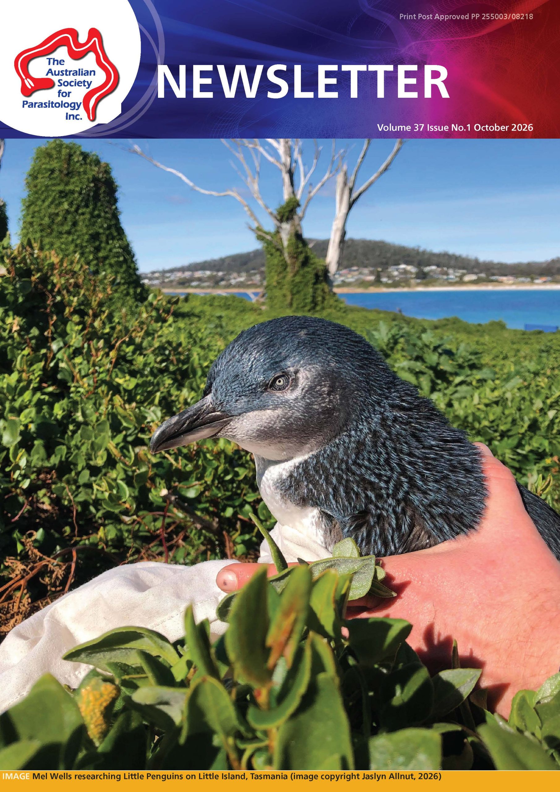 ASPnewsletterVol37.1frontpage